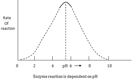 /enzyme reaction is dependent on pH